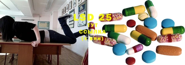 PSILOCYBIN Армянск