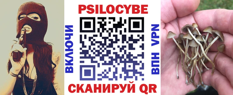 Псилоцибиновые грибы прущие грибы  Купить где  Алексеевка 