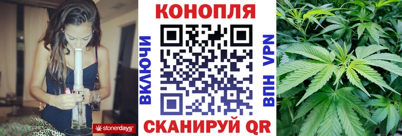 Купить  Алексеевка  Конопля сатива 